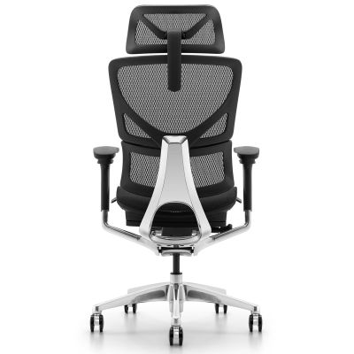 Кресло ADAPWORK L3 Mesh Max Lead Ergochair Platinum Deep Black (1061490013) - фото 1 Кресло ADAPWORK L3 Mesh Max Lead Ergochair Platinum Deep Black (1061490013) недорого