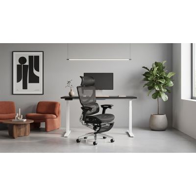 Кресло ADAPWORK L3 Mesh Max Lead Ergochair Platinum Deep Black (1061490013) - фото 2 Кресло ADAPWORK L3 Mesh Max Lead Ergochair Platinum Deep Black (1061490013) дешево